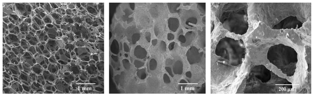 Micro-CT Studies on 3D Bioactive Glass-Ceramic Scaffolds for Bone Regeneration